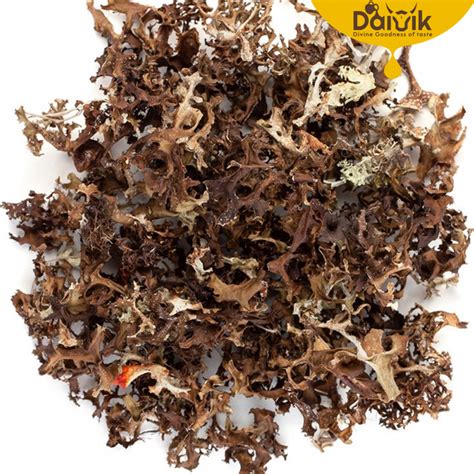 Organic Black Stone Flower / Dagad Phool / Kalpasi | DAIVIK ORGANIC