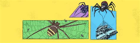 Listen to Story Of Spiders on Radio Azim Premji University with Divya ...