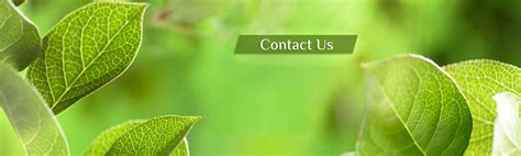 VIVA CORPORATION manufacturers of Fatty acid based speciality chemicals ...