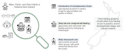 Complementary Feeding Practices of Māori, Pacific, and Other Infants in ...