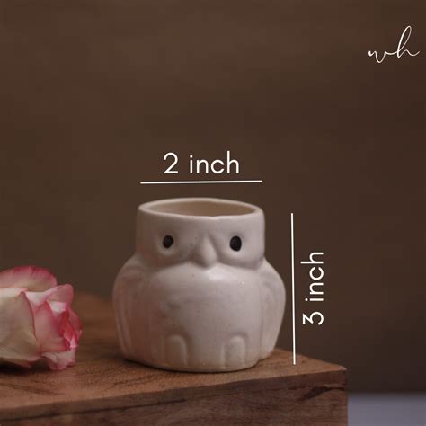Owl Planter – WeavingHomes