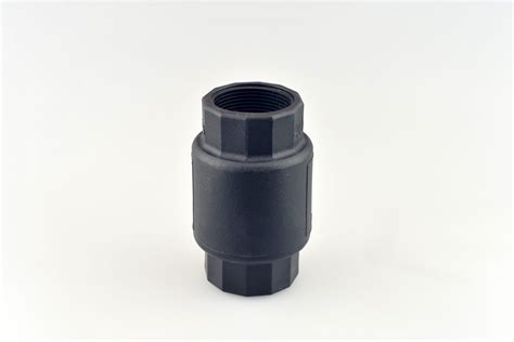 Image result for Clear Spring Check Valve