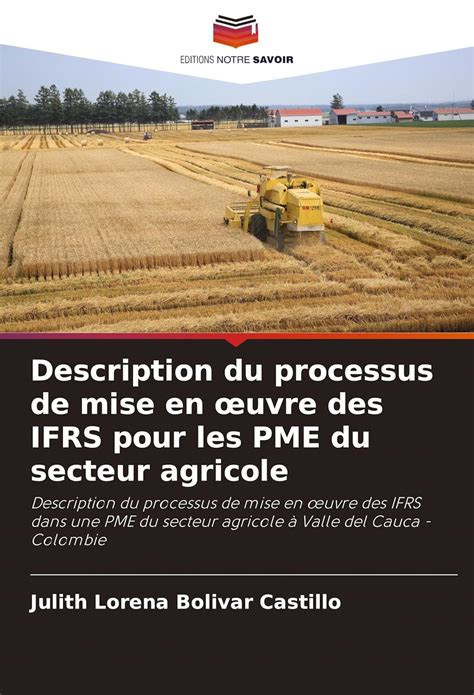 Buy Description du processus de mise en oeuvre des IFRS pour les PME du ...