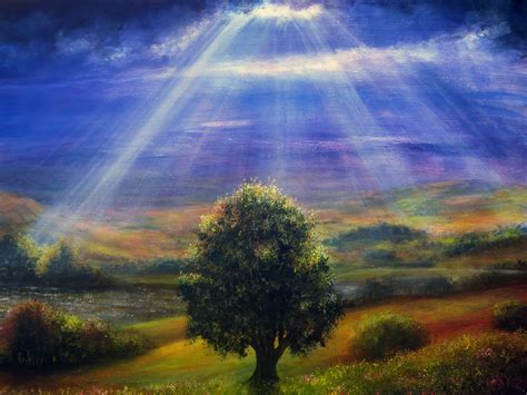 Ağaç Resimleri (5. Katalog) - Sayfa 7