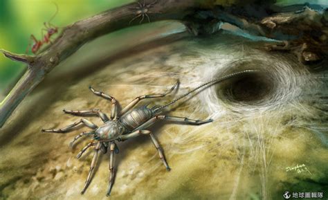 在來自緬甸的琥珀裡，有著尾巴的古蜘蛛化石 | DQ 地球圖輯隊