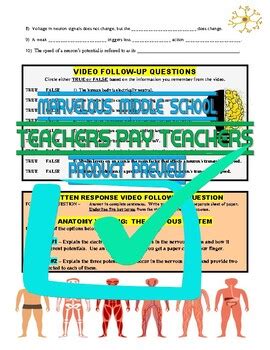 Image result for Crash Course Nervous System