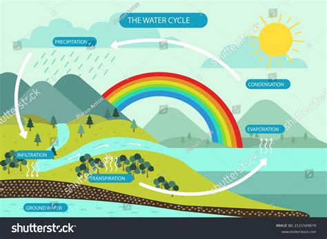 Ecosystem Cycle 的图像结果