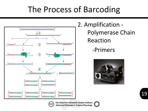 Image result for DNA Barcoding Process