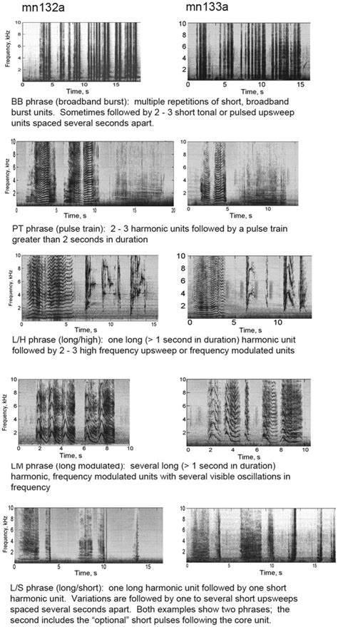 Image result for Hamming Window MATLAB