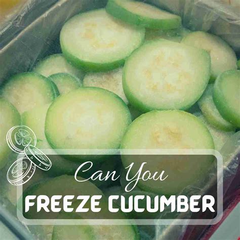 Can You Freeze Cucumbers? | Just Pure Gardening