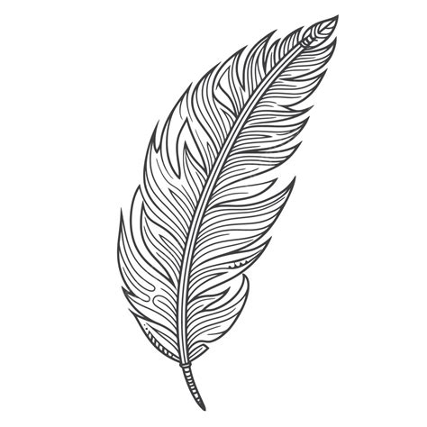 Feather Outline Clip Art