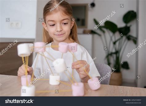 Image result for Making Molecular Models