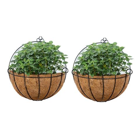 Nuptio 2 Pcs Fence Hanging Planters Metal Wall Planter Hanging Plant ...