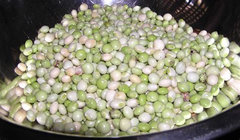 Pigeon Peas - Nutrition Facts, Uses, Benefits, Substitute, Recipes