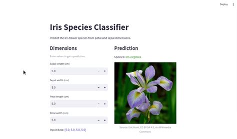 Image result for Streamlit Machine Learning