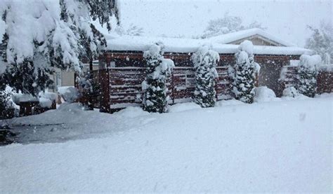 Image result for Springfield NZ