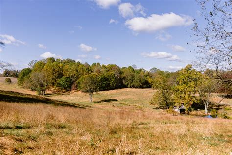 Wild & Rooted 5K Trail Run