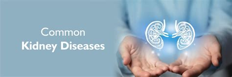 Enfermedades renales comunes: tipos, síntomas, causas, prevención