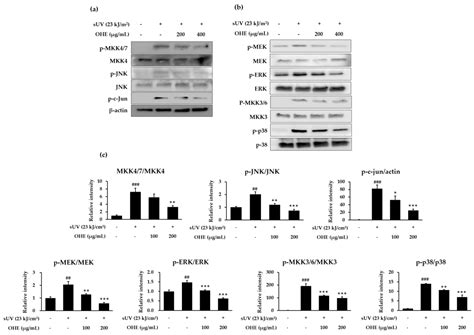 Inhibitory Effect of Opuntia humifusa Fruit Water Extract on Solar ...