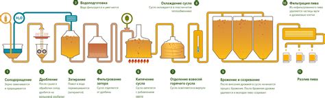 Все этапы приготовления вкуснейшего крафтового пива