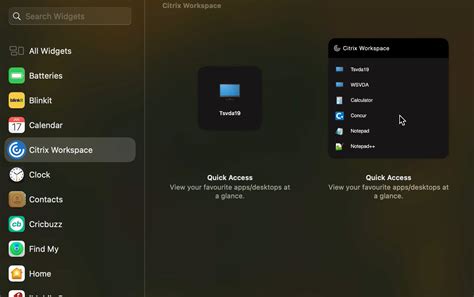 App preferences | Citrix Workspace™ app for Mac