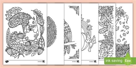 Autumn Mindfulness Colouring Sheets (teacher made) - Twinkl