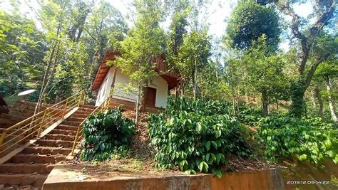 Misty Mountain Manor Homestay - Resorts Chikmagalur
