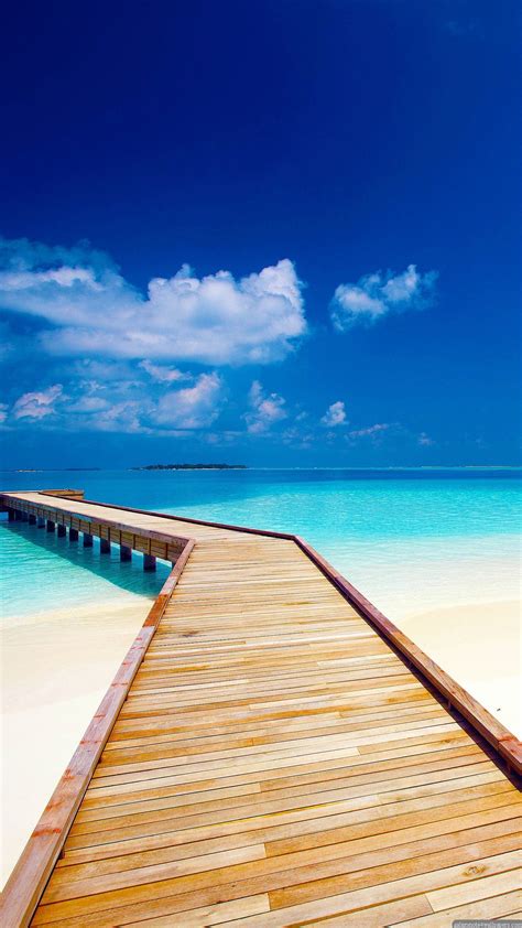 Bing Wallpaper for Android 的图像结果