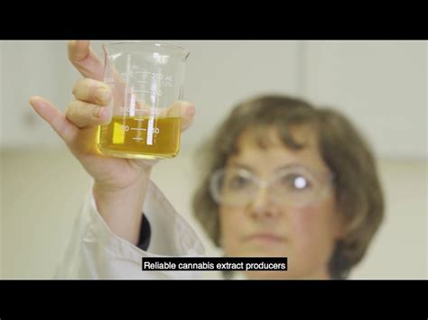 Filtration Of CBD Oil [b3a3d7]