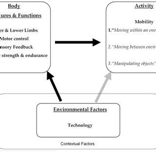 Image result for ICF Body Structures