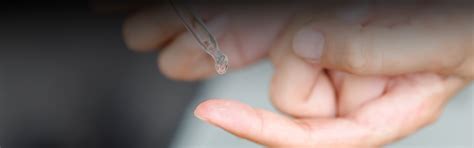 Plastiblends India Limited