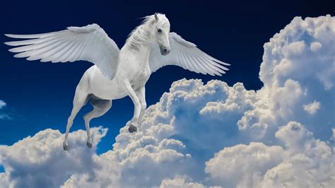 Horse Color Symbolism: A Cultural And Historical Exploration