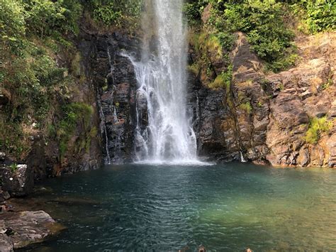 JAGUAR ECOTOURISM (2026) All You Need to Know BEFORE You Go (with ...