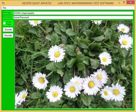 Visual Basic Application Development 的图像结果