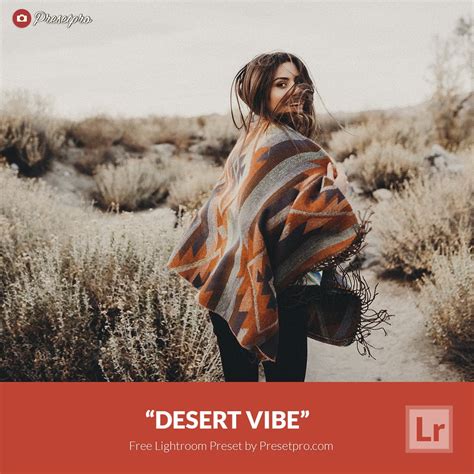 Free Lightroom Preset | Optima Film - Presetpro.com