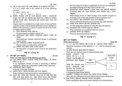 Science Model for Class 10 的图像结果