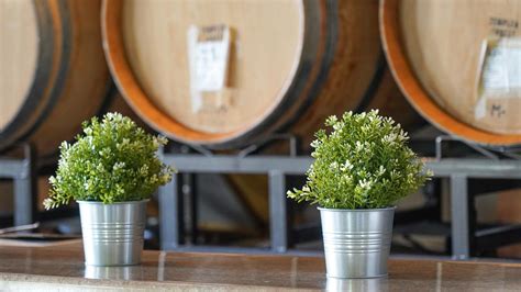 Gallery | Laguna Canyon Winery