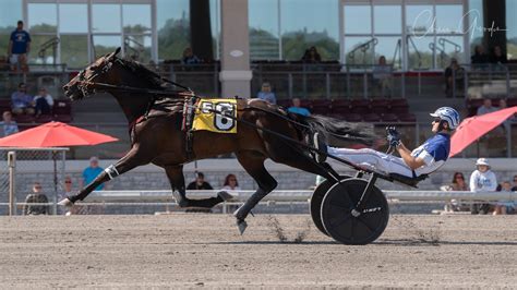 White Shoe Hanover one to watch in Bluegrass Stakes - Harnesslink