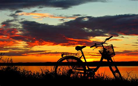 How to Use Python Scripts 的图像结果