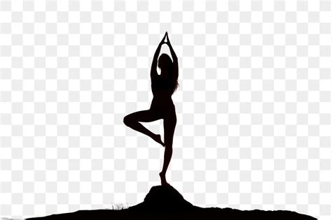 Exercise Border 的图像结果