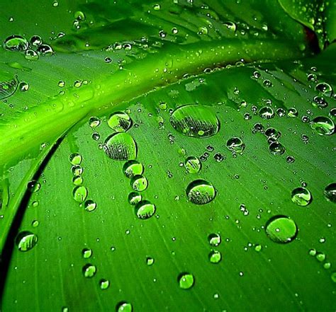 Image result for AndroidZoom Backdrop