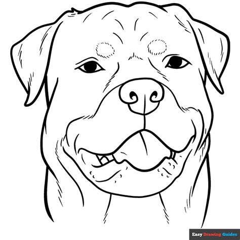 Image result for Dog Face Tutorial