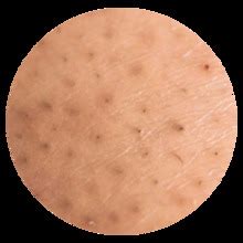 Buy MS MAGIC SECRET Cheekyglo Body Exfoliating Glove - Pure Viscose ...