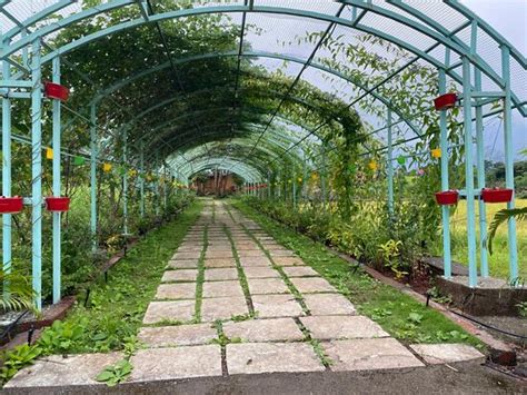 KARVANDA FARMS- NATURE STAY (Mangaon) - Campground Reviews & Photos ...