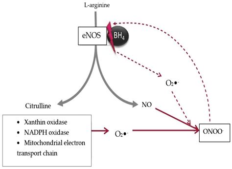 The Complex Immunological Alterations in Patients with Type 2 Diabetes ...