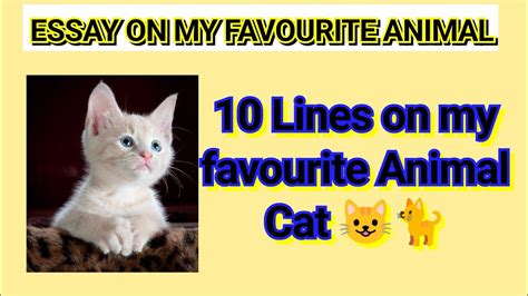 Image result for Cat Command in Shell Script
