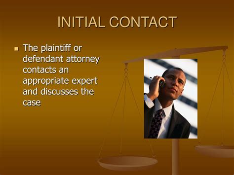 Expert Witness Example 的图像结果