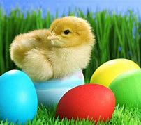 Image result for Cute Easter Ideas