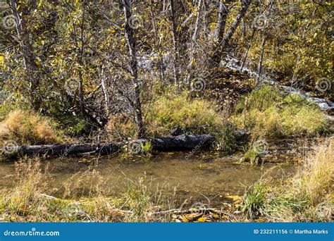Pecos River Canyon State Park in New Mexico Stock Photo - Image of ...