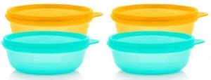 TUPPERWARE Plastic Fridge Container - 300 ml Price in India - Buy ...